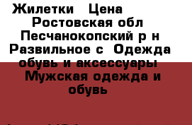 Жилетки › Цена ­ 4 500 - Ростовская обл., Песчанокопский р-н, Развильное с. Одежда, обувь и аксессуары » Мужская одежда и обувь   